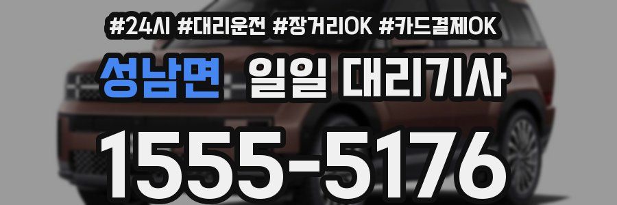 성남면 일일 대리기사