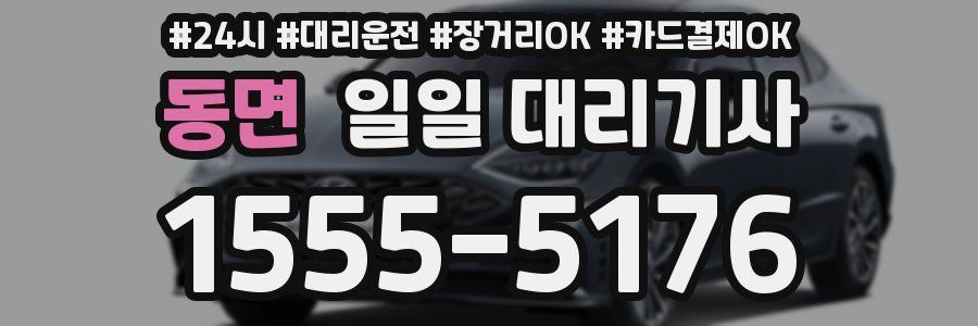 동면 일일 대리기사
