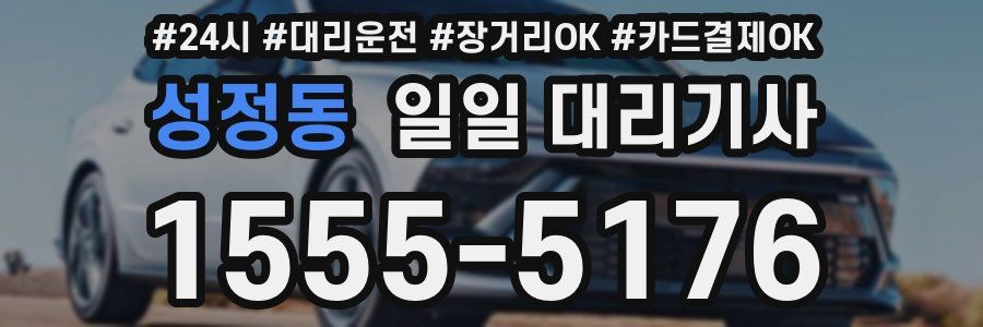 성정동 일일 대리기사