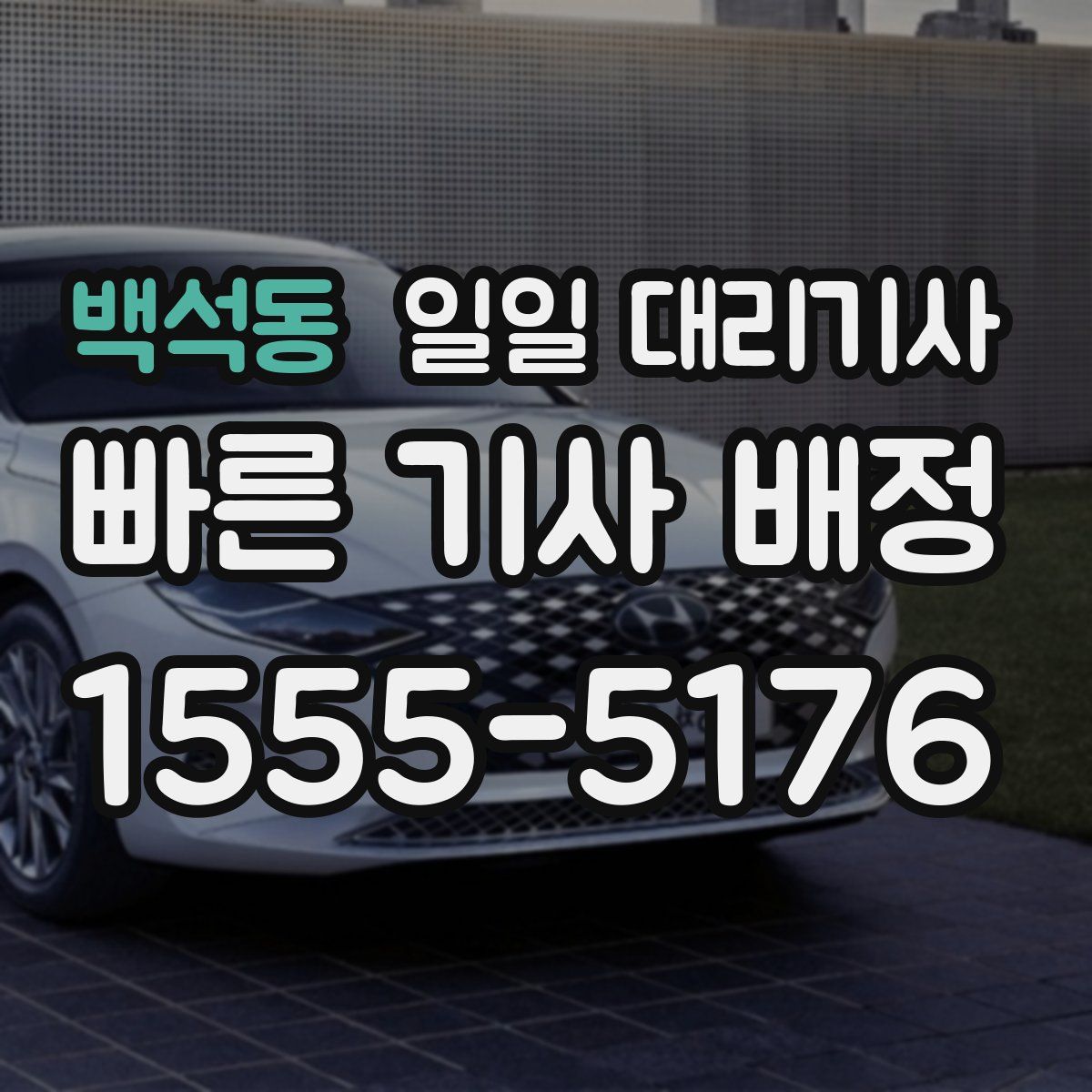백석동 일일 대리기사