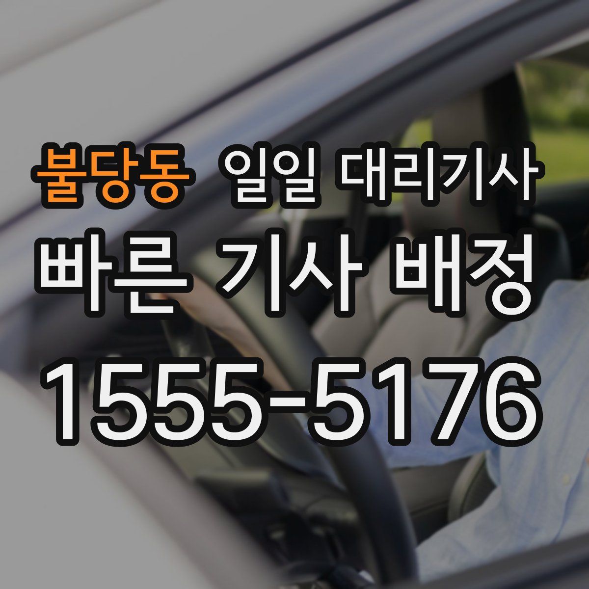 불당동 일일 대리기사