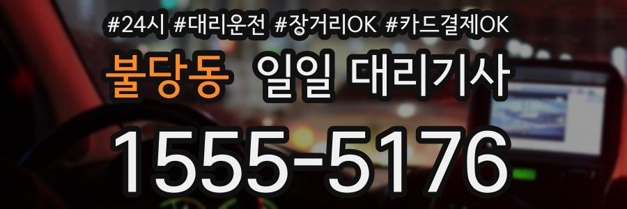 불당동 일일 대리기사