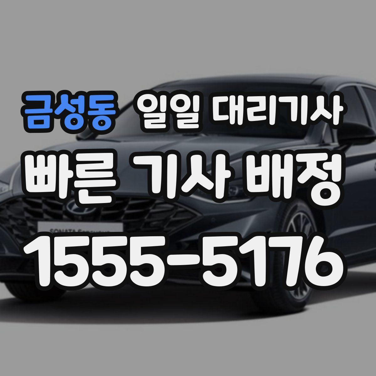 금성동 일일 대리기사