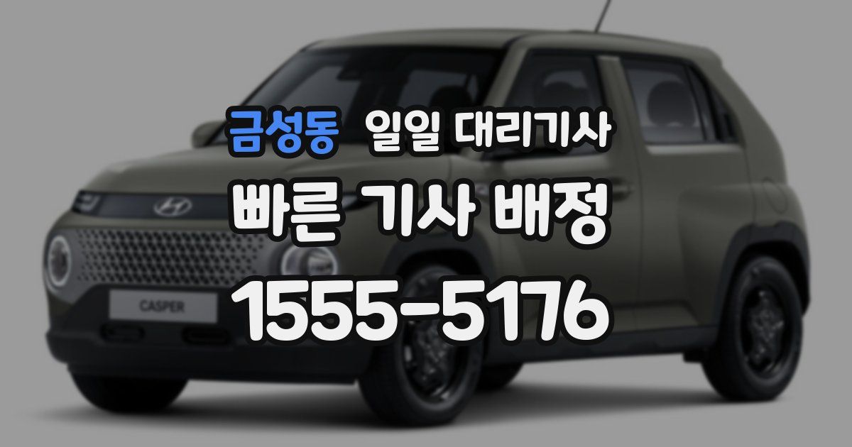 금성동 일일 대리기사