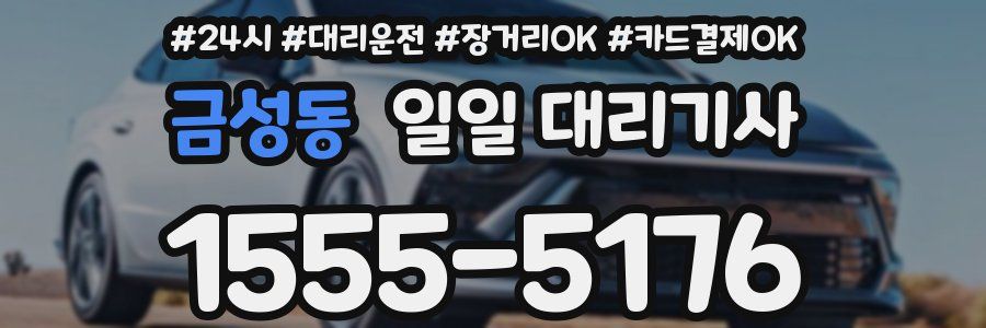 금성동 일일 대리기사