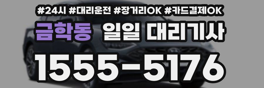 금학동 일일 대리기사