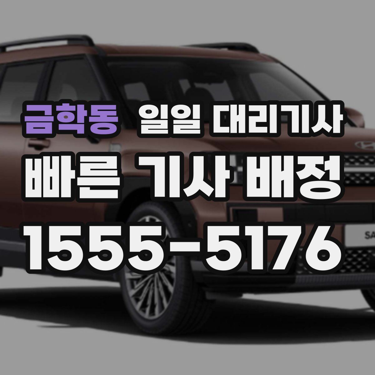 금학동 일일 대리기사