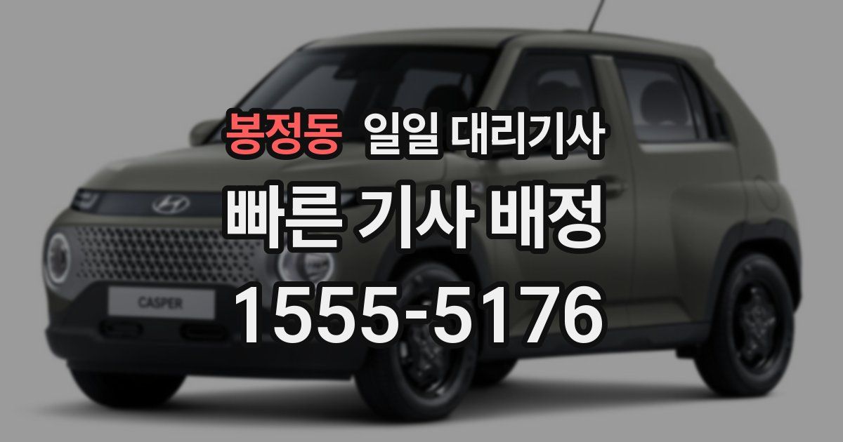 봉정동 일일 대리기사