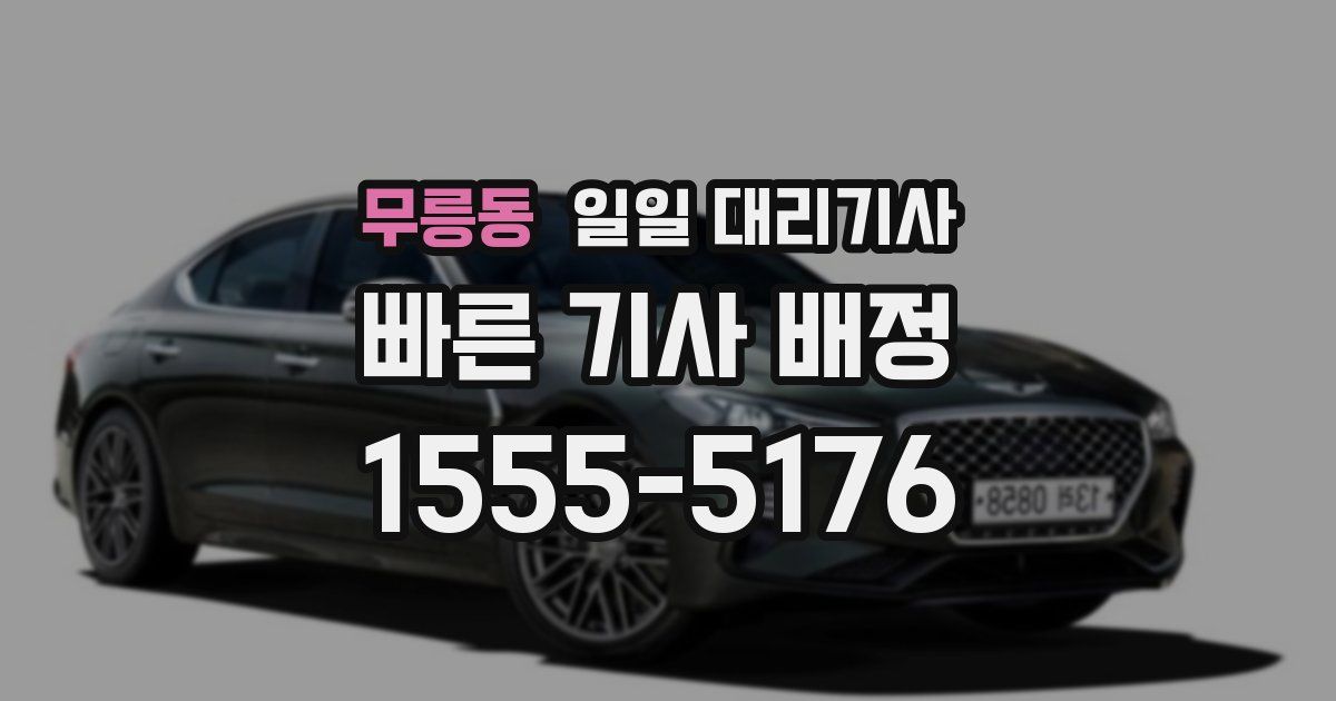 무릉동 일일 대리기사