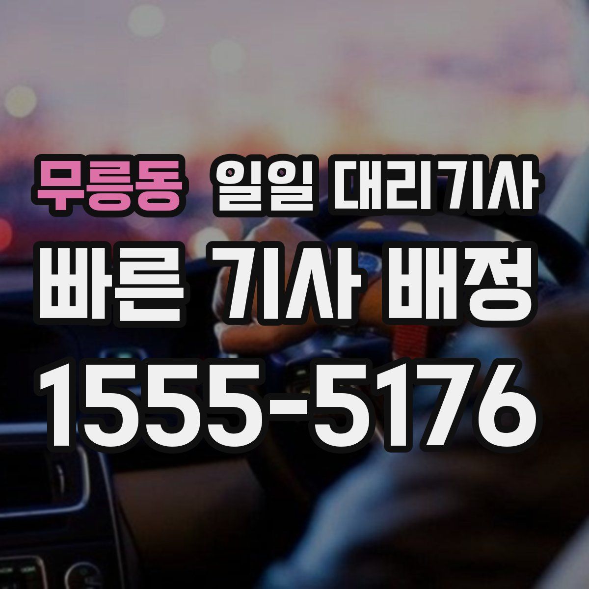 무릉동 일일 대리기사