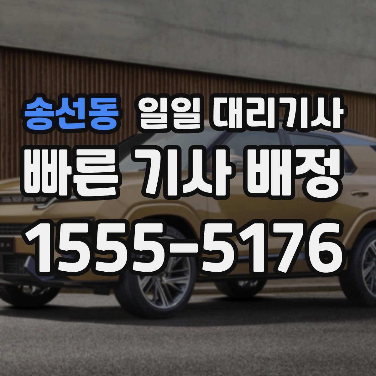 송선동 일일 대리기사