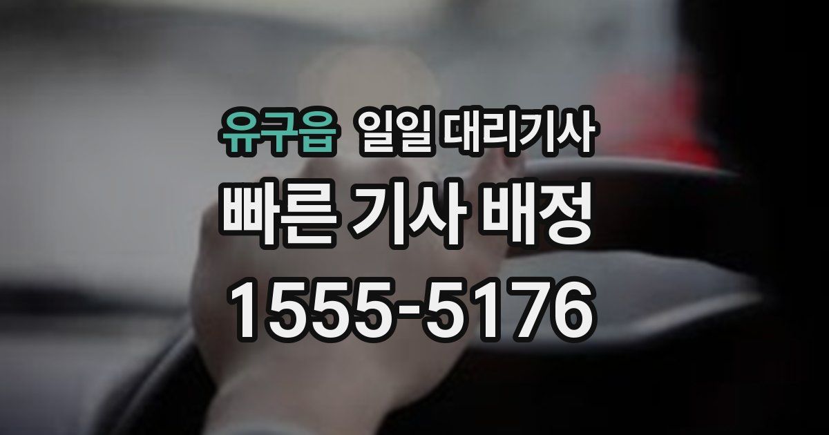 유구읍 일일 대리기사
