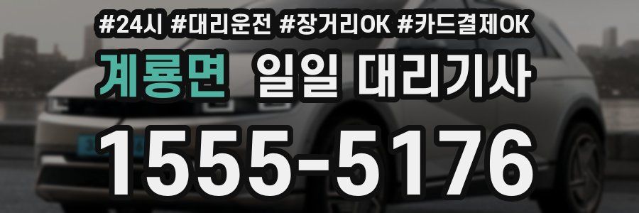 계룡면 일일 대리기사