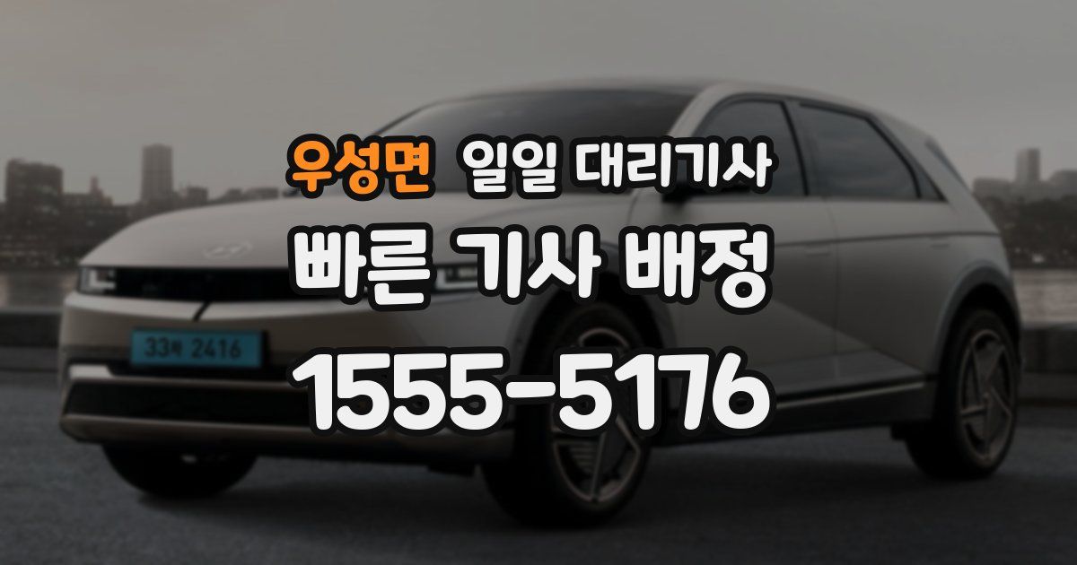 우성면 일일 대리기사