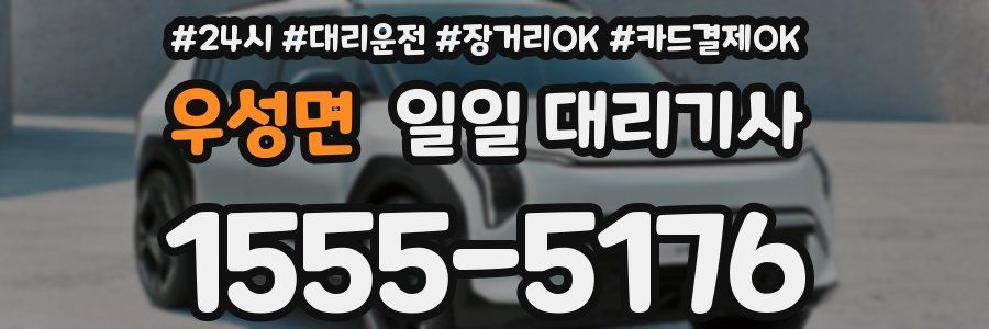 우성면 일일 대리기사