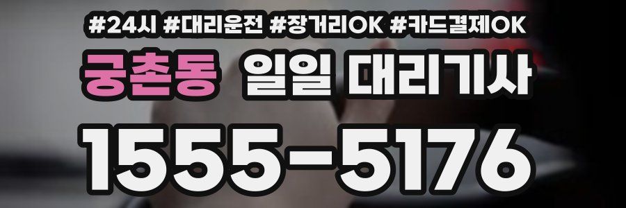 궁촌동 일일 대리기사