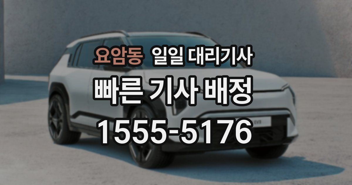요암동 일일 대리기사
