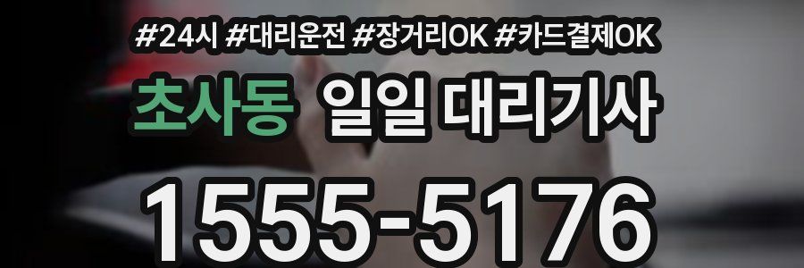 초사동 일일 대리기사
