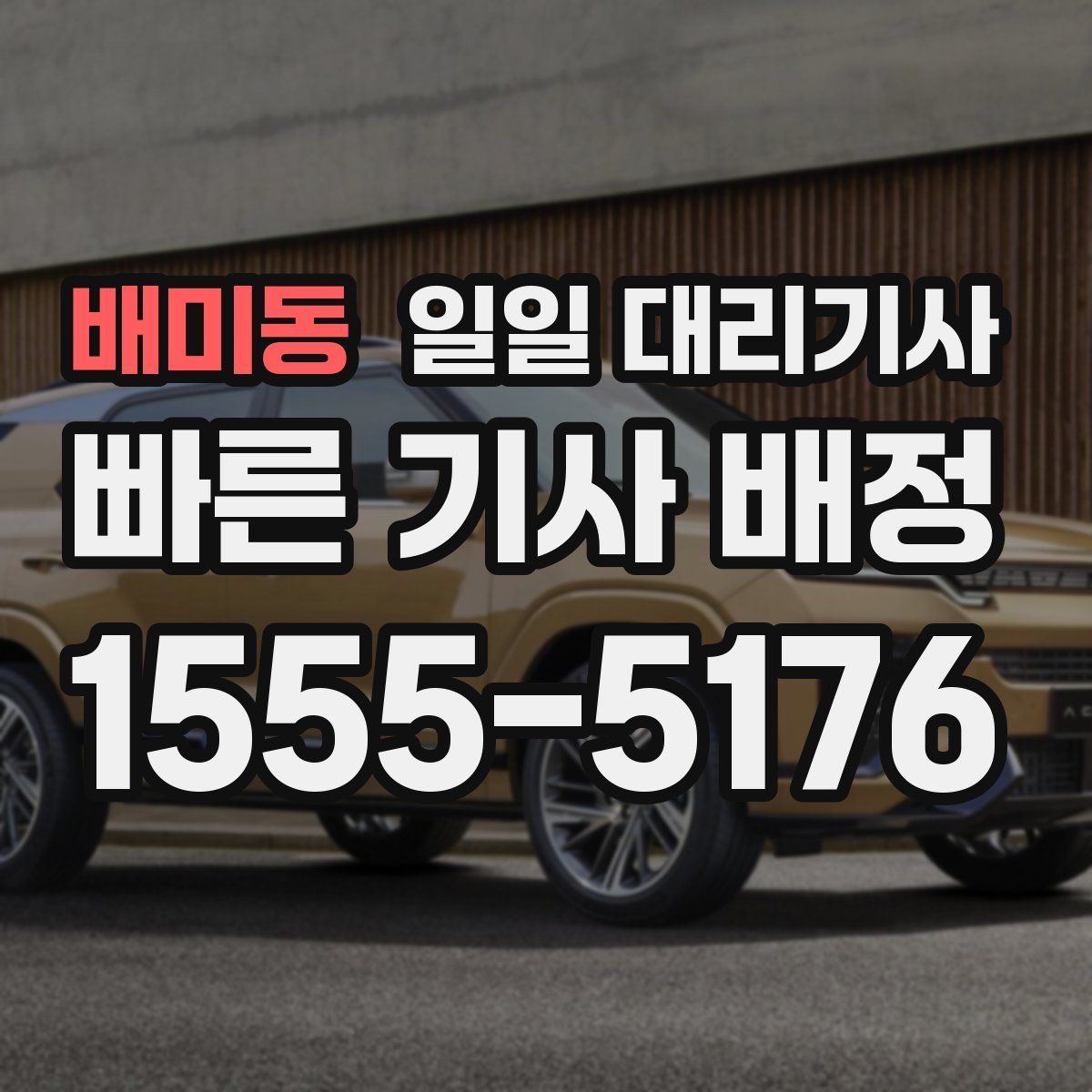 배미동 일일 대리기사