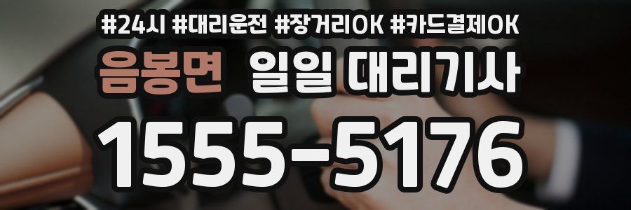음봉면 일일 대리기사