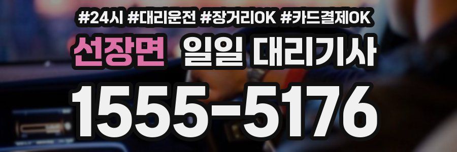 선장면 일일 대리기사