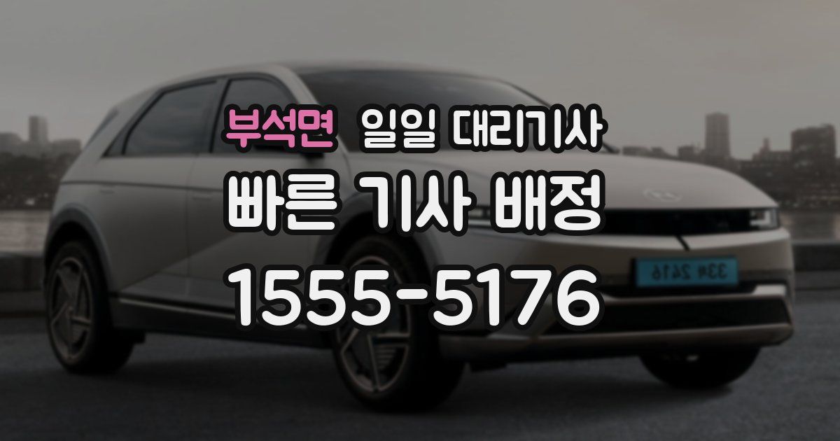 부석면 일일 대리기사