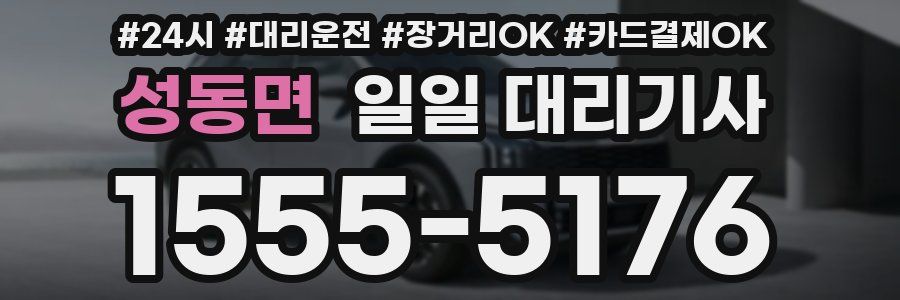 성동면 일일 대리기사