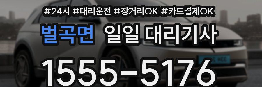 벌곡면 일일 대리기사