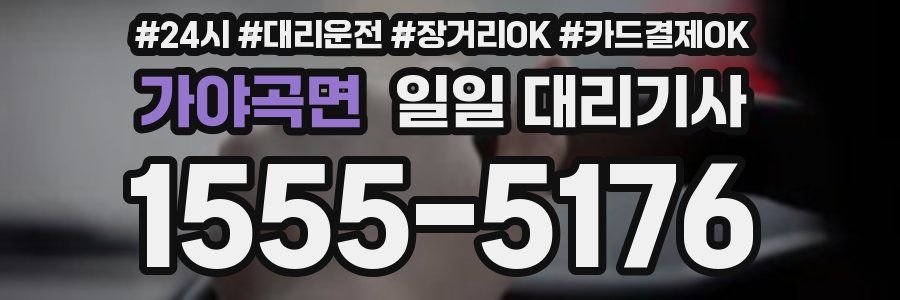 가야곡면 일일 대리기사