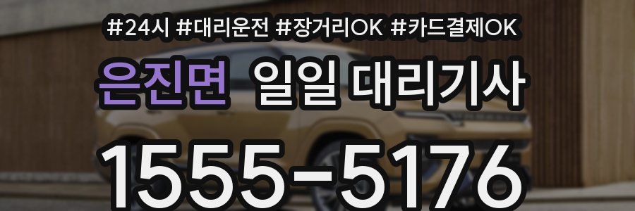 은진면 일일 대리기사