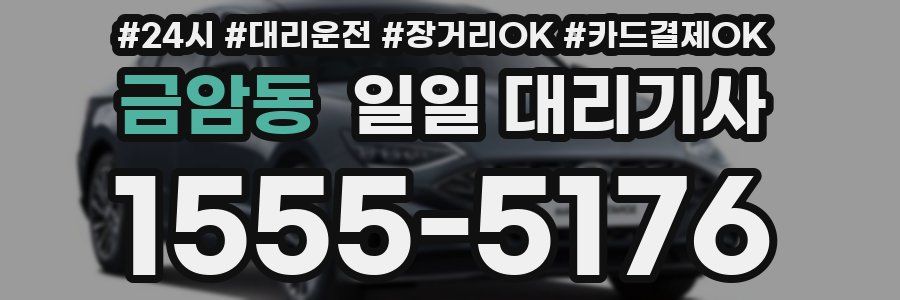금암동 일일 대리기사