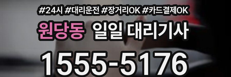 원당동 일일 대리기사