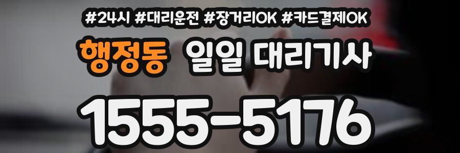 행정동 일일 대리기사