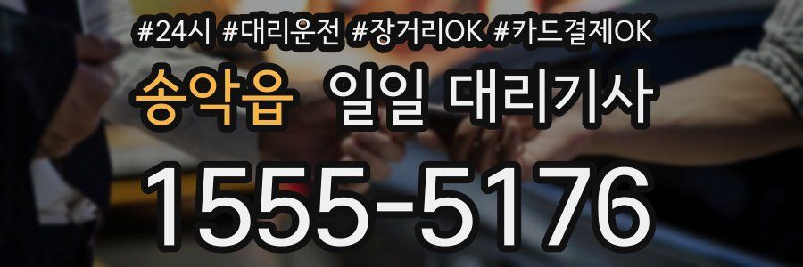 송악읍 일일 대리기사