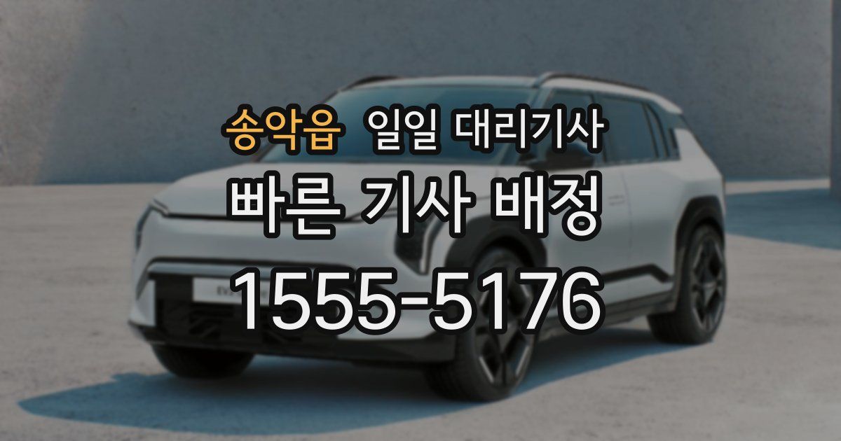 송악읍 일일 대리기사