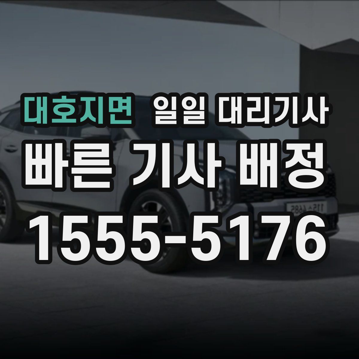 대호지면 일일 대리기사