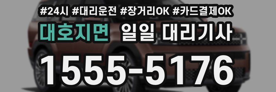 대호지면 일일 대리기사