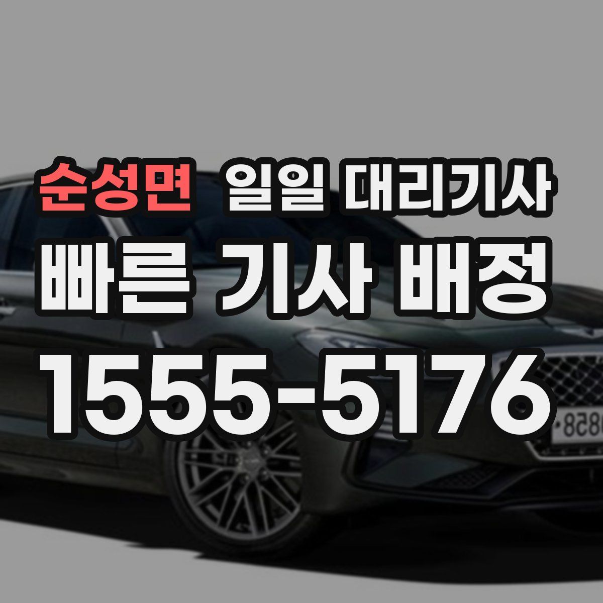 순성면 일일 대리기사
