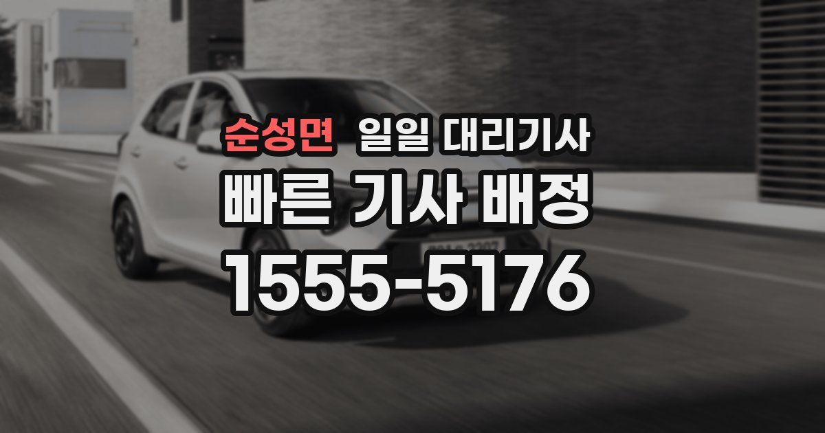 순성면 일일 대리기사