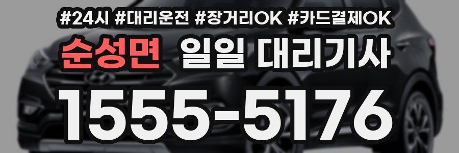 순성면 일일 대리기사