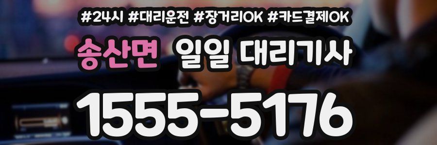 송산면 일일 대리기사