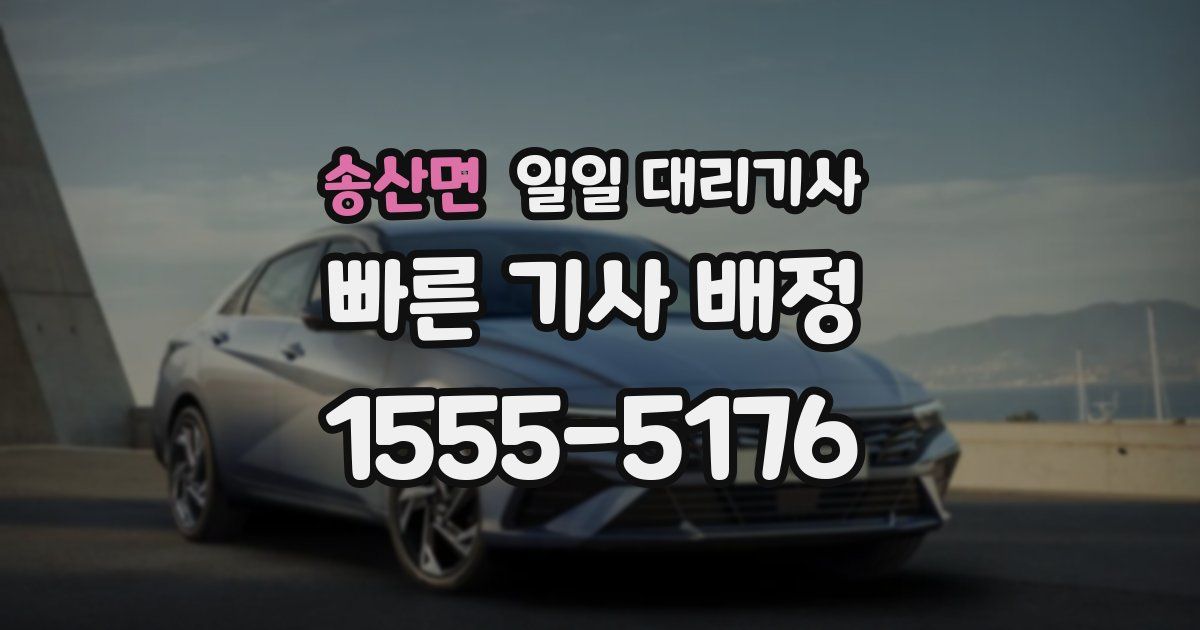 송산면 일일 대리기사