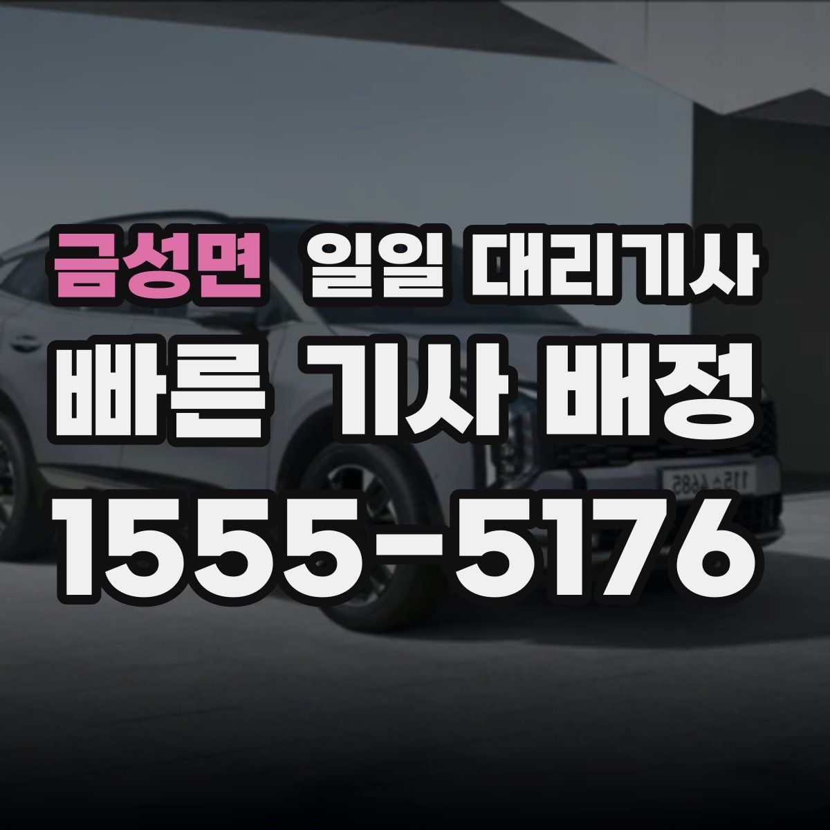 금성면 일일 대리기사