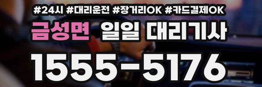 금성면 일일 대리기사