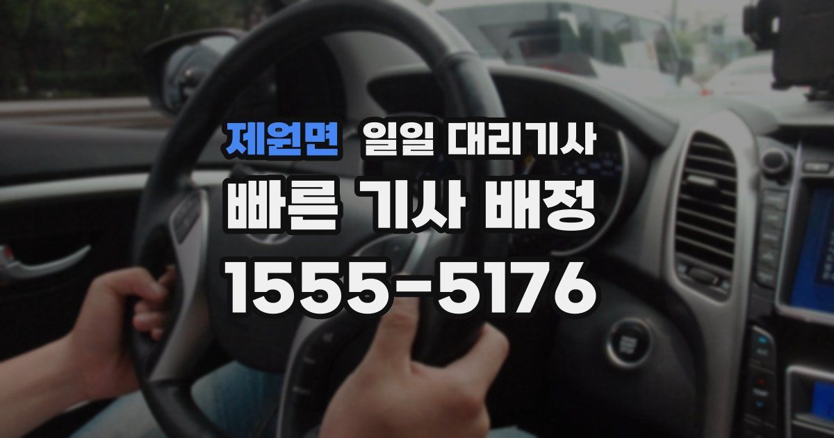 제원면 일일 대리기사