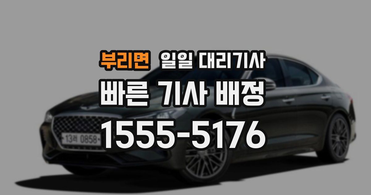 부리면 일일 대리기사