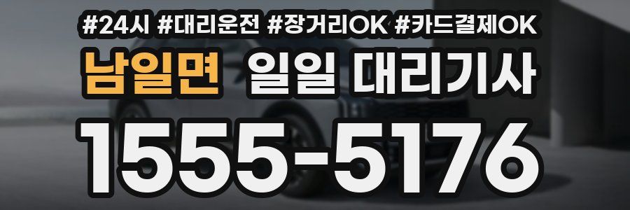 남일면 일일 대리기사