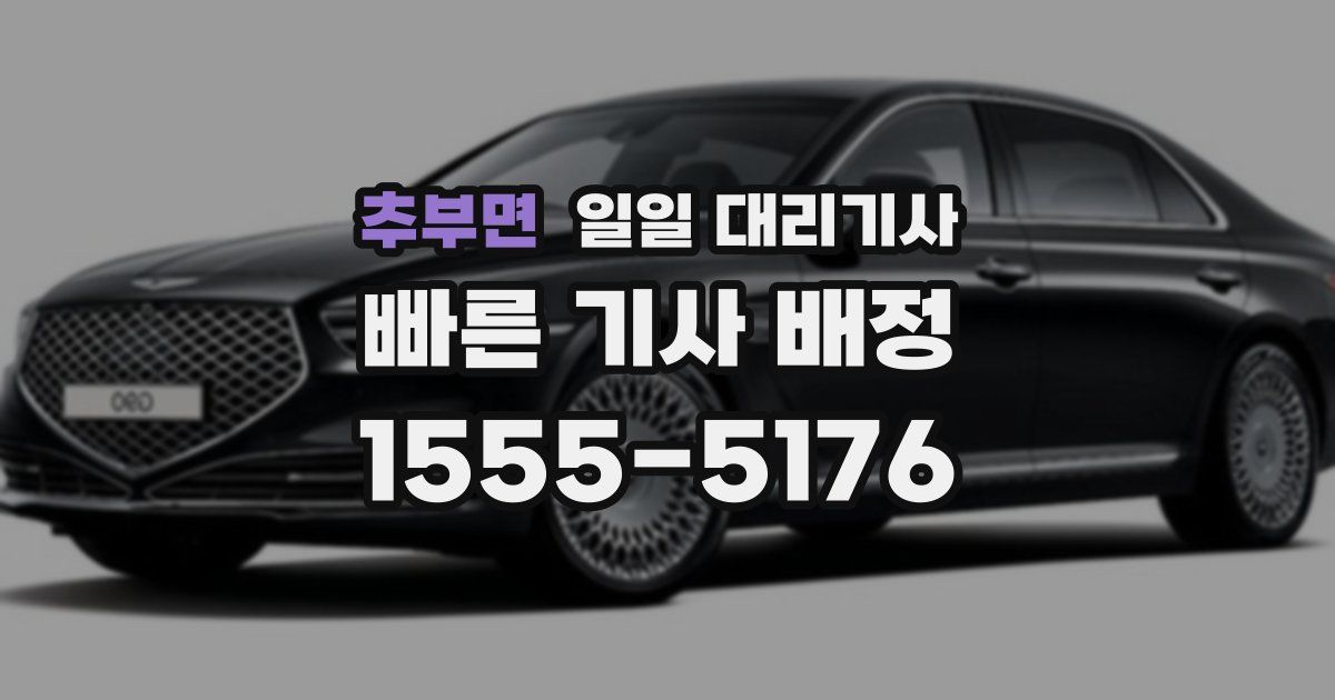 추부면 일일 대리기사