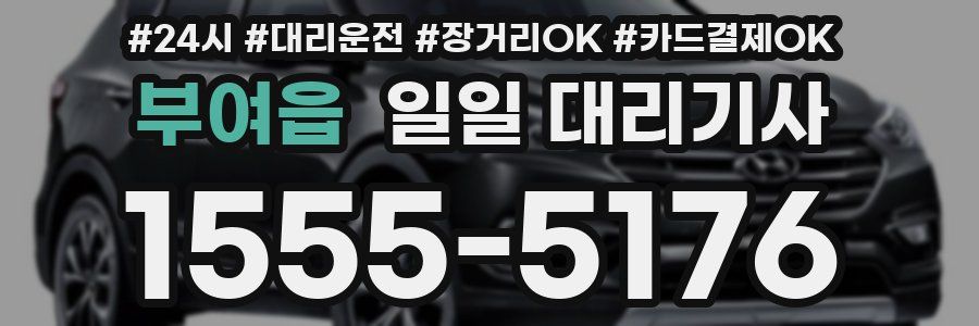 부여읍 일일 대리기사