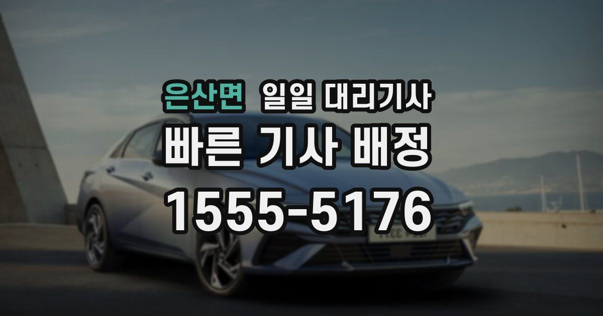 은산면 일일 대리기사